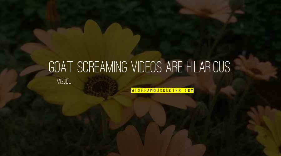 Darussalam Lombard Quotes By Miguel: Goat screaming videos are hilarious.