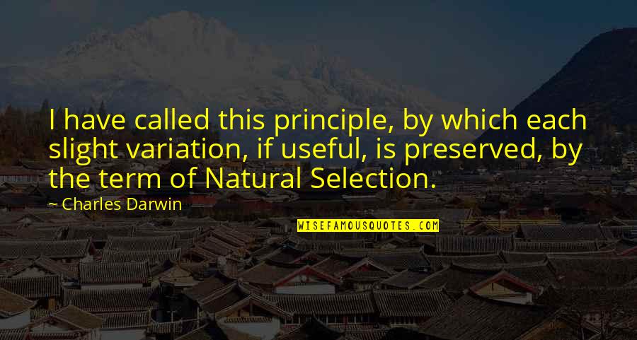 Darwin Natural Selection Quotes By Charles Darwin: I have called this principle, by which each