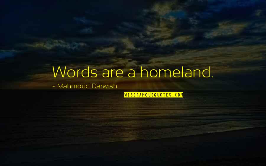 Darwish Mahmoud Quotes By Mahmoud Darwish: Words are a homeland.