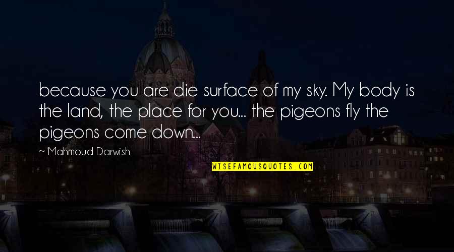 Darwish Mahmoud Quotes By Mahmoud Darwish: because you are die surface of my sky.