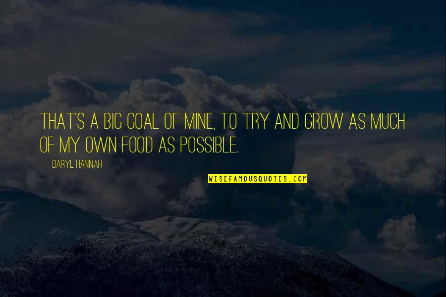 Daryl Quotes By Daryl Hannah: That's a big goal of mine, to try