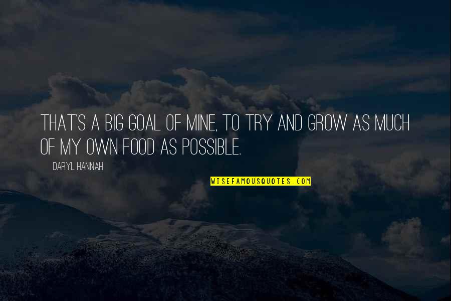 Daryl's Quotes By Daryl Hannah: That's a big goal of mine, to try