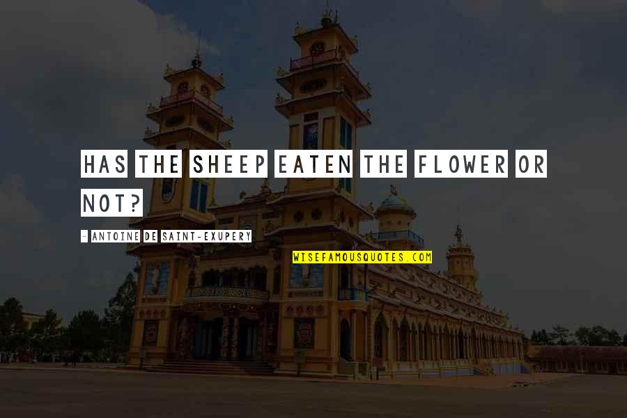 Dascoli Linens Quotes By Antoine De Saint-Exupery: Has the sheep eaten the flower or not? Dascoli Linens Quotes By Antoine De Saint-Exupery: Has the sheep eaten the flower or not?