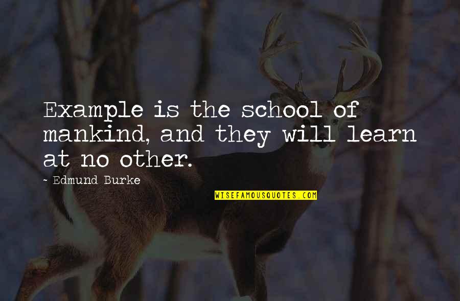 Daske Stock Quotes By Edmund Burke: Example is the school of mankind, and they