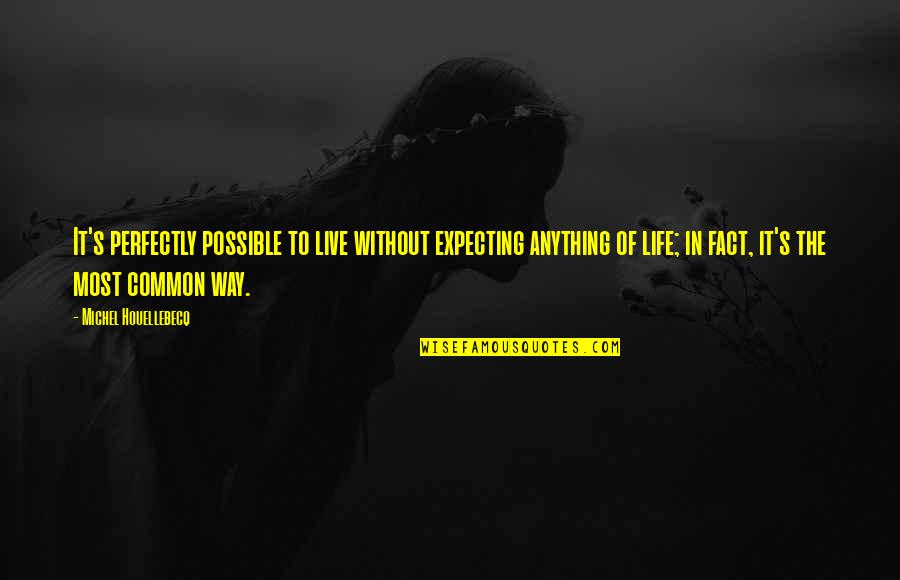 Dason Quotes By Michel Houellebecq: It's perfectly possible to live without expecting anything