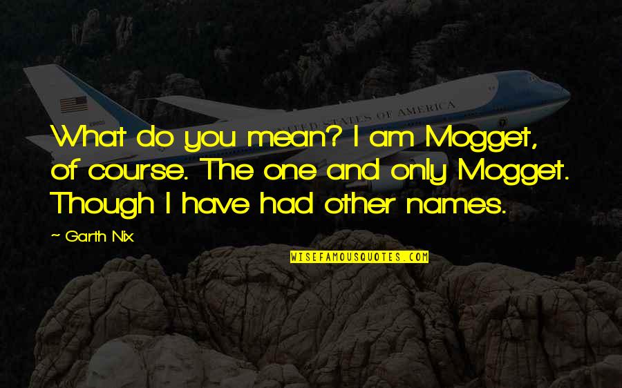 Dassault Rafale Quotes By Garth Nix: What do you mean? I am Mogget, of Dassault Rafale Quotes By Garth Nix: What do you mean? I am Mogget, of