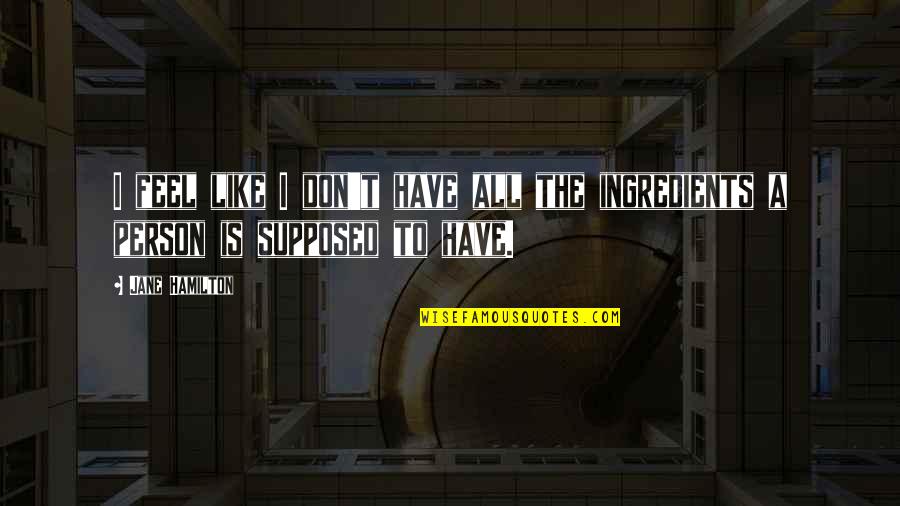 Dasypus Bellus Quotes By Jane Hamilton: I feel like I don't have all the