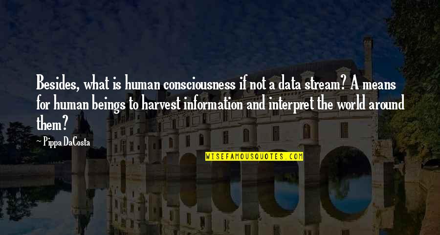 Data And Information Quotes By Pippa DaCosta: Besides, what is human consciousness if not a