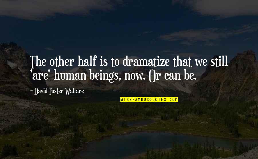 Data Driven Instruction Quotes By David Foster Wallace: The other half is to dramatize that we Data Driven Instruction Quotes By David Foster Wallace: The other half is to dramatize that we