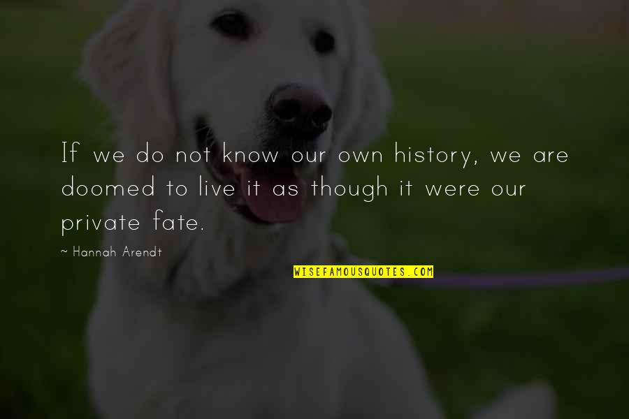 Data Protection Data Privacy Quotes By Hannah Arendt: If we do not know our own history,