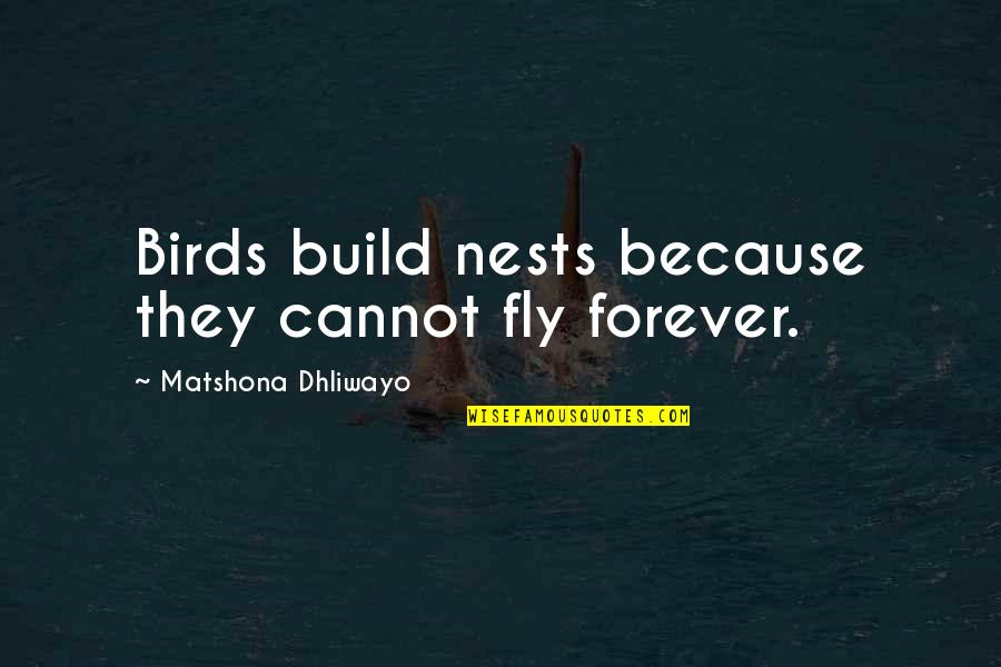 Dating Sayings And Quotes By Matshona Dhliwayo: Birds build nests because they cannot fly forever.