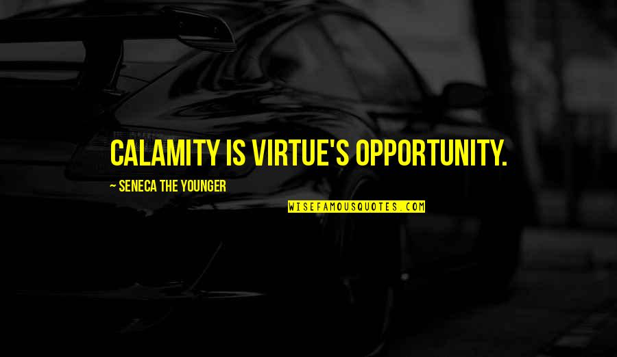 Dating Site Headline Quotes By Seneca The Younger: Calamity is virtue's opportunity.