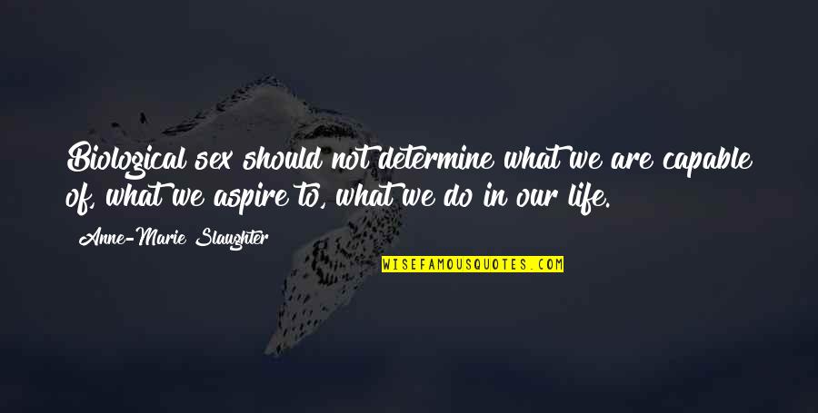 Dating Website Quotes By Anne-Marie Slaughter: Biological sex should not determine what we are Dating Website Quotes By Anne-Marie Slaughter: Biological sex should not determine what we are