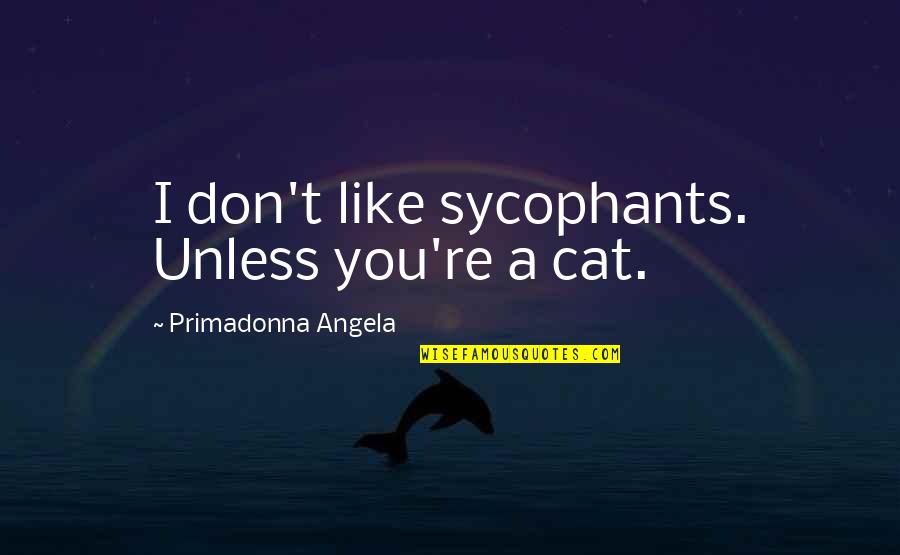 Dauntless Brave Quotes By Primadonna Angela: I don't like sycophants. Unless you're a cat. Dauntless Brave Quotes By Primadonna Angela: I don't like sycophants. Unless you're a cat.