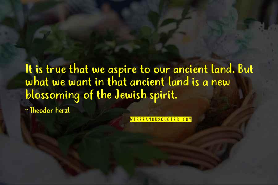 Daussi Bgs Quotes By Theodor Herzl: It is true that we aspire to our