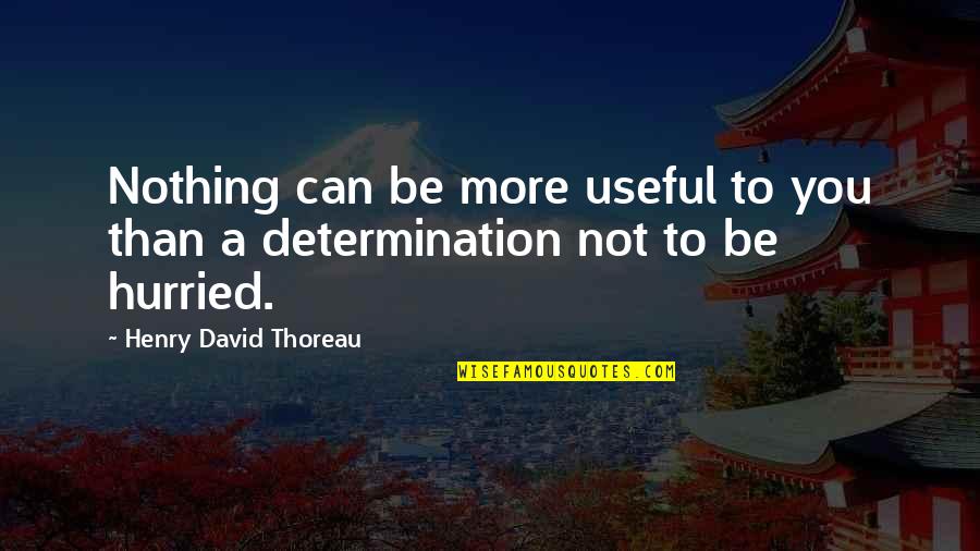 Dave Edmunds Quotes By Henry David Thoreau: Nothing can be more useful to you than