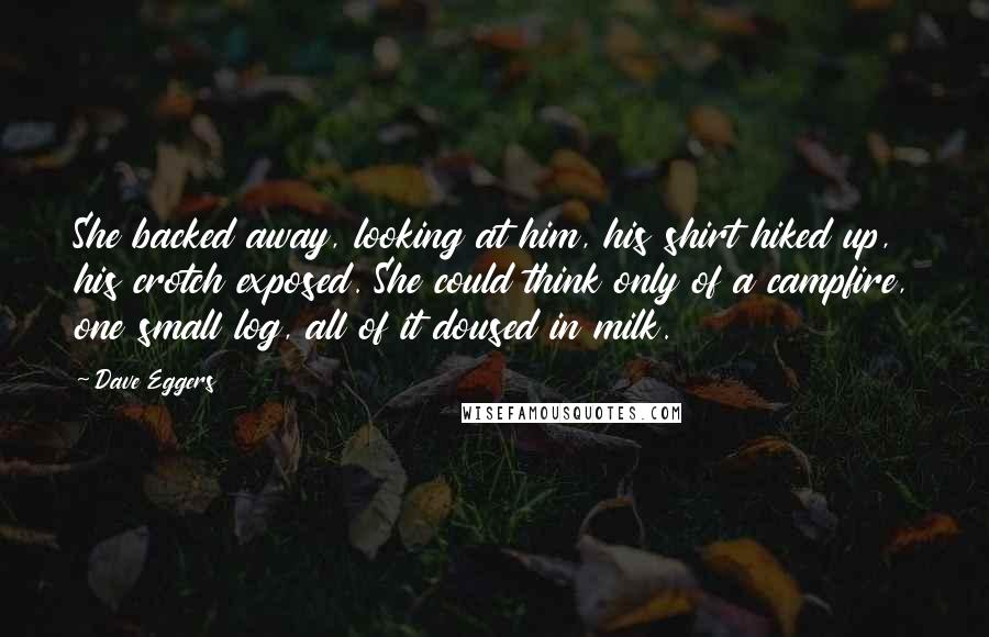 Dave Eggers quotes: She backed away, looking at him, his shirt hiked up, his crotch exposed. She could think only of a campfire, one small log, all of it doused in milk.