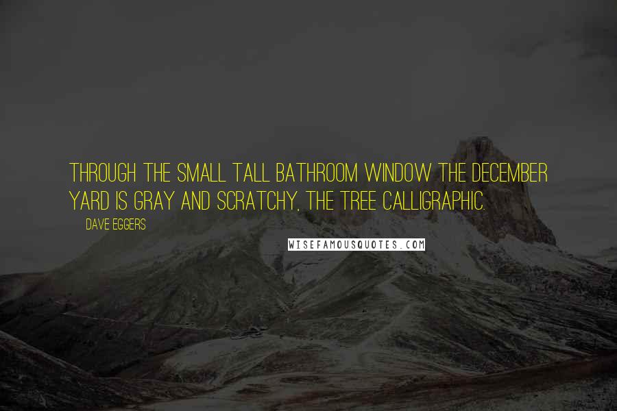 Dave Eggers quotes: Through the small tall bathroom window the December yard is gray and scratchy, the tree calligraphic.