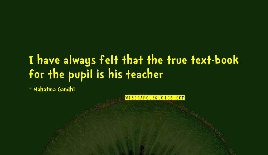 Dave Haywood Quotes By Mahatma Gandhi: I have always felt that the true text-book