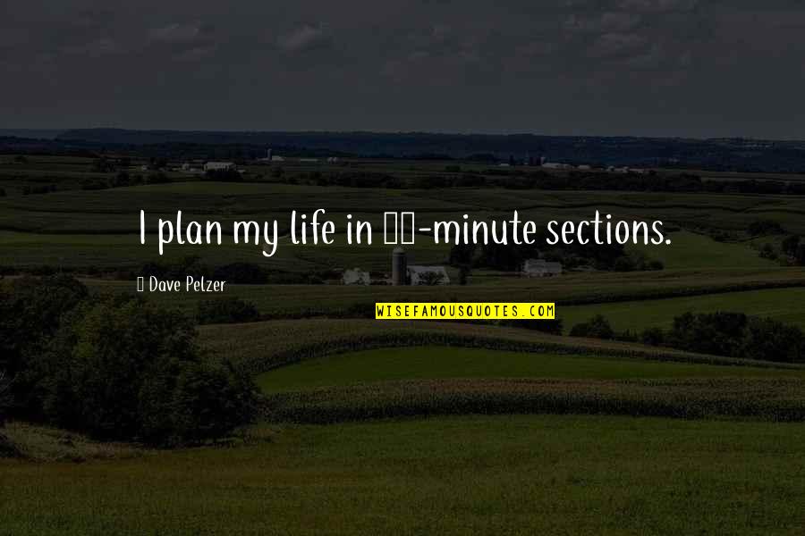 Dave Pelzer Quotes By Dave Pelzer: I plan my life in 15-minute sections.