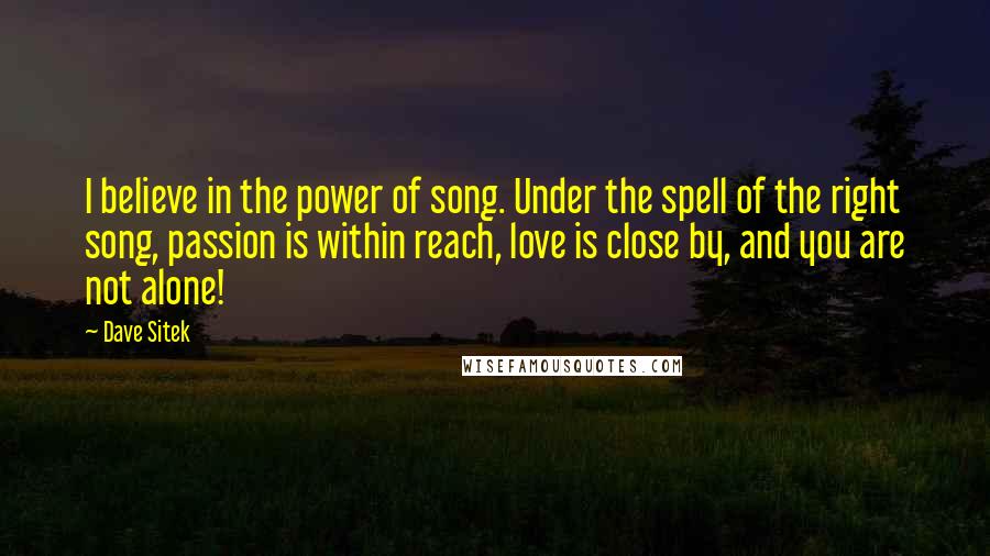 Dave Sitek quotes: I believe in the power of song. Under the spell of the right song, passion is within reach, love is close by, and you are not alone!