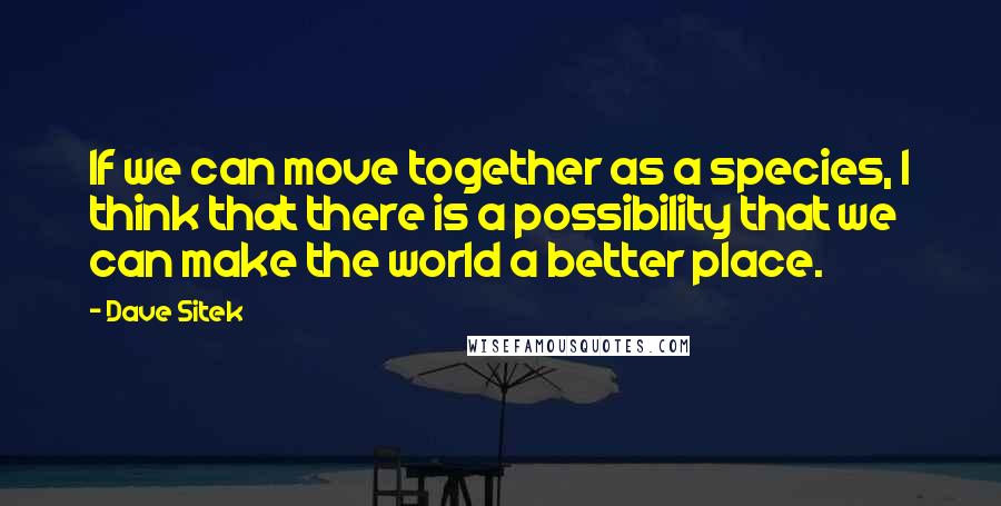 Dave Sitek quotes: If we can move together as a species, I think that there is a possibility that we can make the world a better place.