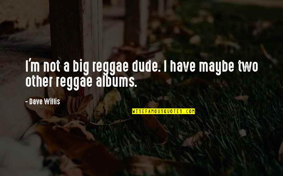 Dave Willis Quotes By Dave Willis: I'm not a big reggae dude. I have