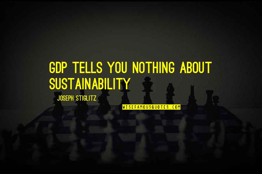 Dave Wong Quotes By Joseph Stiglitz: GDP tells you nothing about sustainability