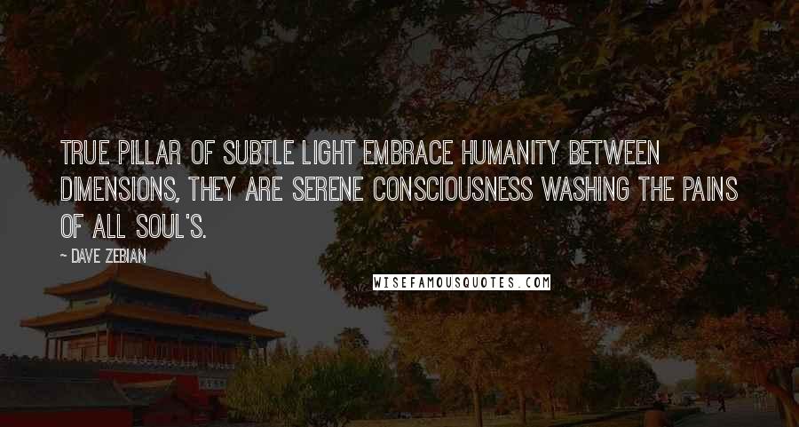 Dave Zebian quotes: True pillar of subtle light embrace humanity between dimensions, they are serene consciousness washing the pains of all soul's.