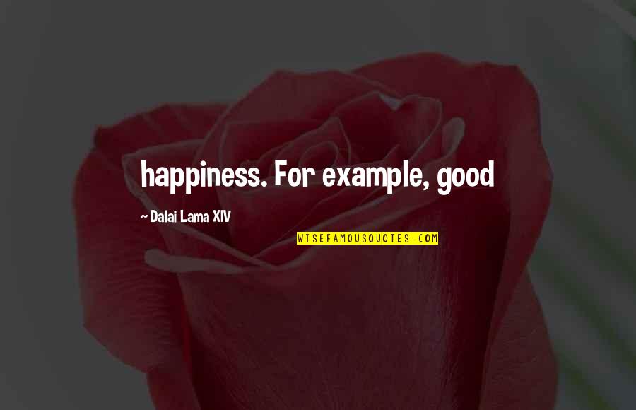 Daversa Quotes By Dalai Lama XIV: happiness. For example, good
