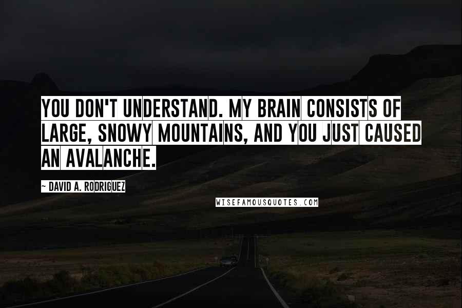 David A. Rodriguez quotes: You don't understand. My brain consists of large, snowy mountains, and you just caused an avalanche.