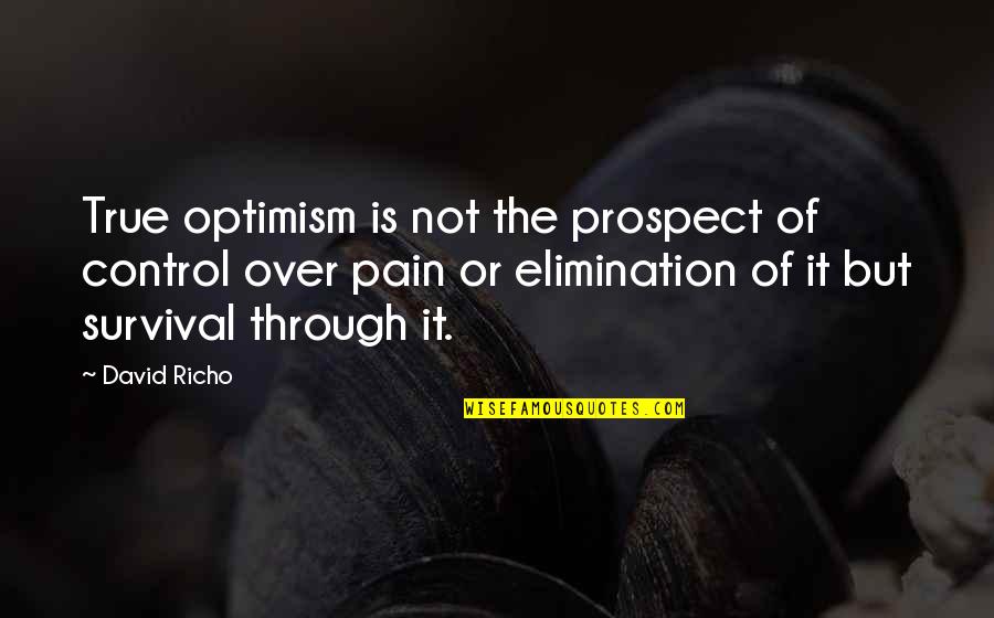 David Abram Quotes By David Richo: True optimism is not the prospect of control