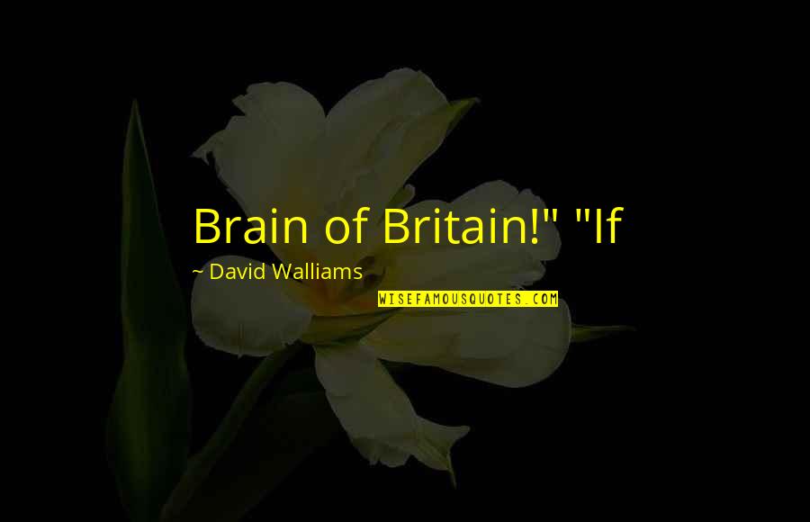 David Abram Quotes By David Walliams: Brain of Britain!" "If