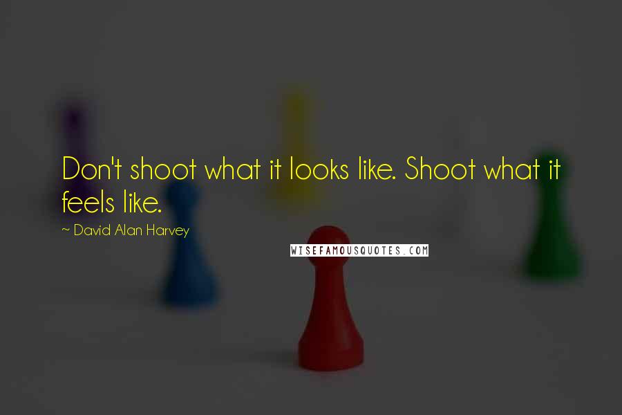 David Alan Harvey quotes: Don't shoot what it looks like. Shoot what it feels like.