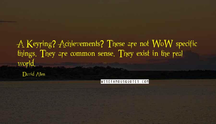 David Allen quotes: A Keyring? Achievements? These are not WoW-specific things. They are common sense. They exist in the real world.