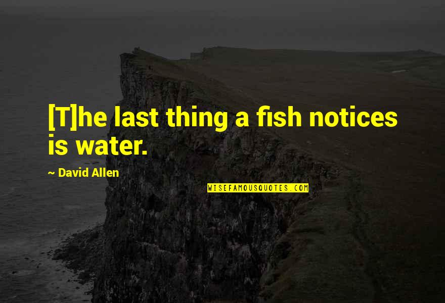 David Allen Quotes By David Allen: [T]he last thing a fish notices is water.