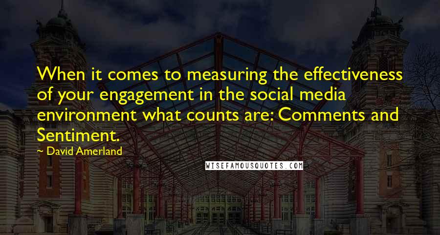 David Amerland quotes: When it comes to measuring the effectiveness of your engagement in the social media environment what counts are: Comments and Sentiment.