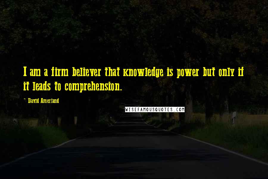 David Amerland quotes: I am a firm believer that knowledge is power but only if it leads to comprehension.