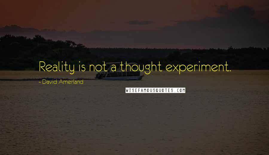 David Amerland quotes: Reality is not a thought experiment.