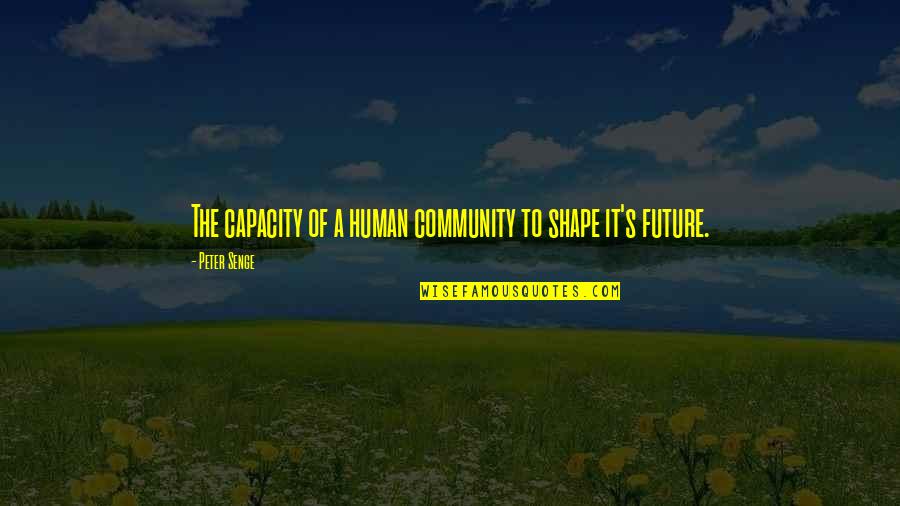 David And Goliath Type Quotes By Peter Senge: The capacity of a human community to shape