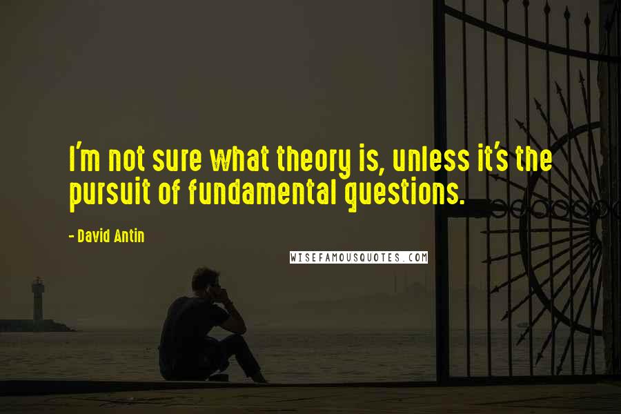 David Antin quotes: I'm not sure what theory is, unless it's the pursuit of fundamental questions.