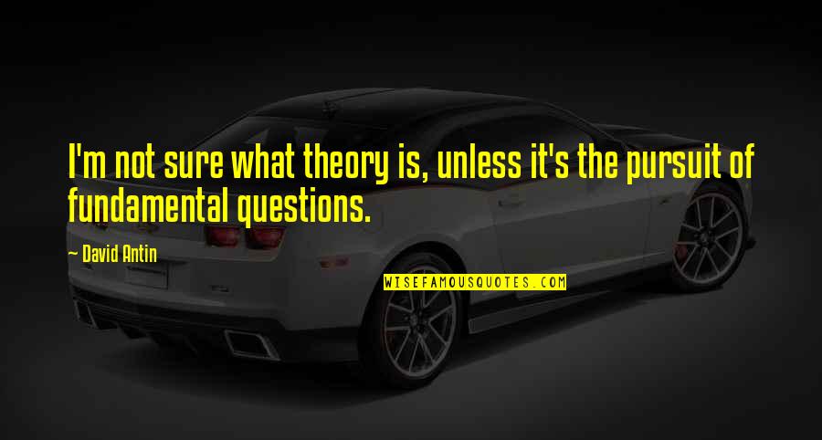 David Antin Quotes By David Antin: I'm not sure what theory is, unless it's