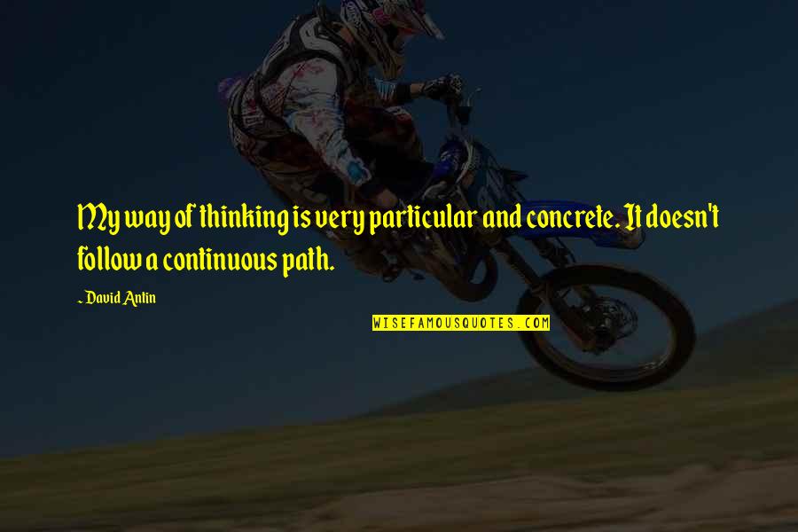 David Antin Quotes By David Antin: My way of thinking is very particular and David Antin Quotes By David Antin: My way of thinking is very particular and