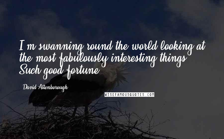 David Attenborough quotes: I'm swanning round the world looking at the most fabulously interesting things. Such good fortune.