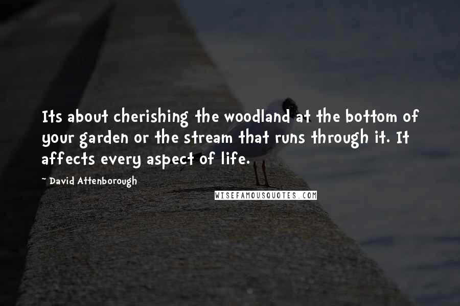 David Attenborough quotes: Its about cherishing the woodland at the bottom of your garden or the stream that runs through it. It affects every aspect of life.