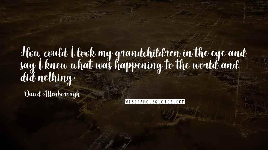 David Attenborough quotes: How could I look my grandchildren in the eye and say I knew what was happening to the world and did nothing.