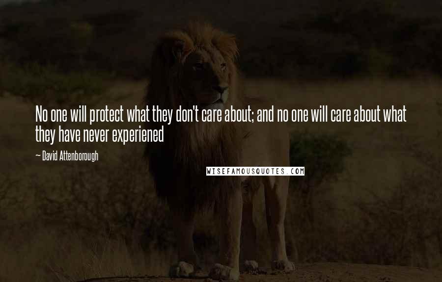 David Attenborough quotes: No one will protect what they don't care about; and no one will care about what they have never experiened