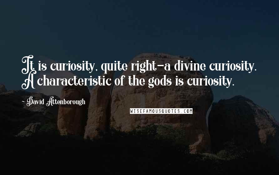 David Attenborough quotes: It is curiosity, quite right-a divine curiosity. A characteristic of the gods is curiosity.