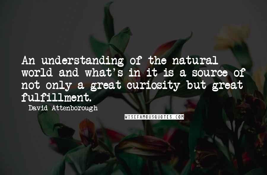 David Attenborough quotes: An understanding of the natural world and what's in it is a source of not only a great curiosity but great fulfillment.