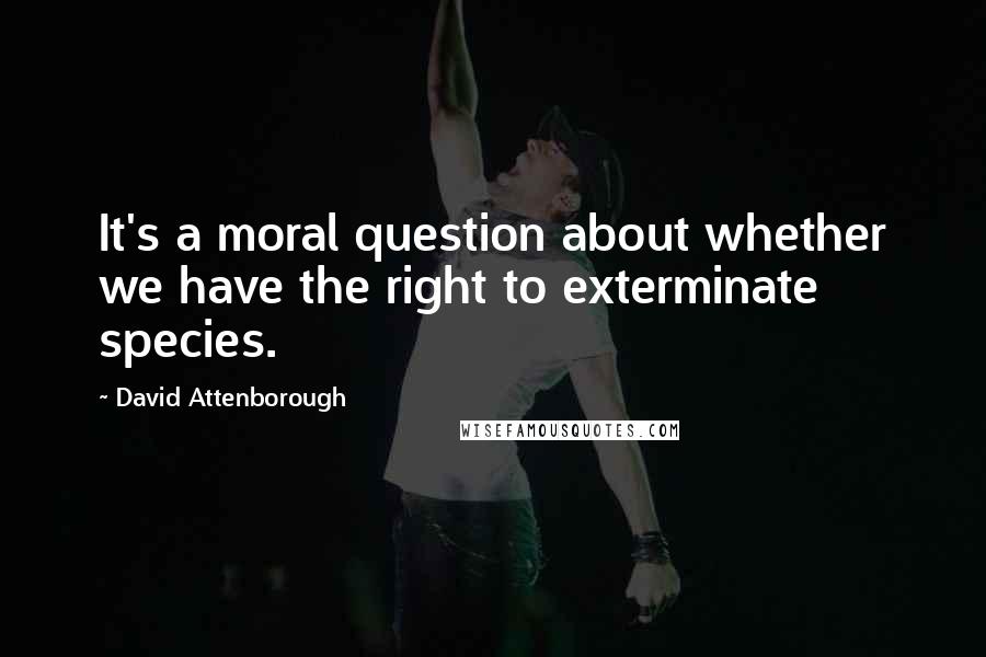 David Attenborough quotes: It's a moral question about whether we have the right to exterminate species.